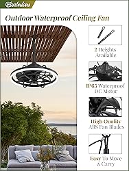 Fanbulous Outdoor Ceiling Fans with Light for