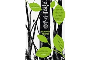 The Wood for the Trees: The Long View of Nature from a Small Wood