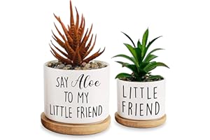 Msyueos Say Aloe to My Little Friend Planter Pot, Funny Plant Pots, Aloe Plant Pot Succulent Pots with Tray Set of 2 Flower Pots Indoor Pot - Without Plants, Office Home Windowsill Gifts (No Plant)