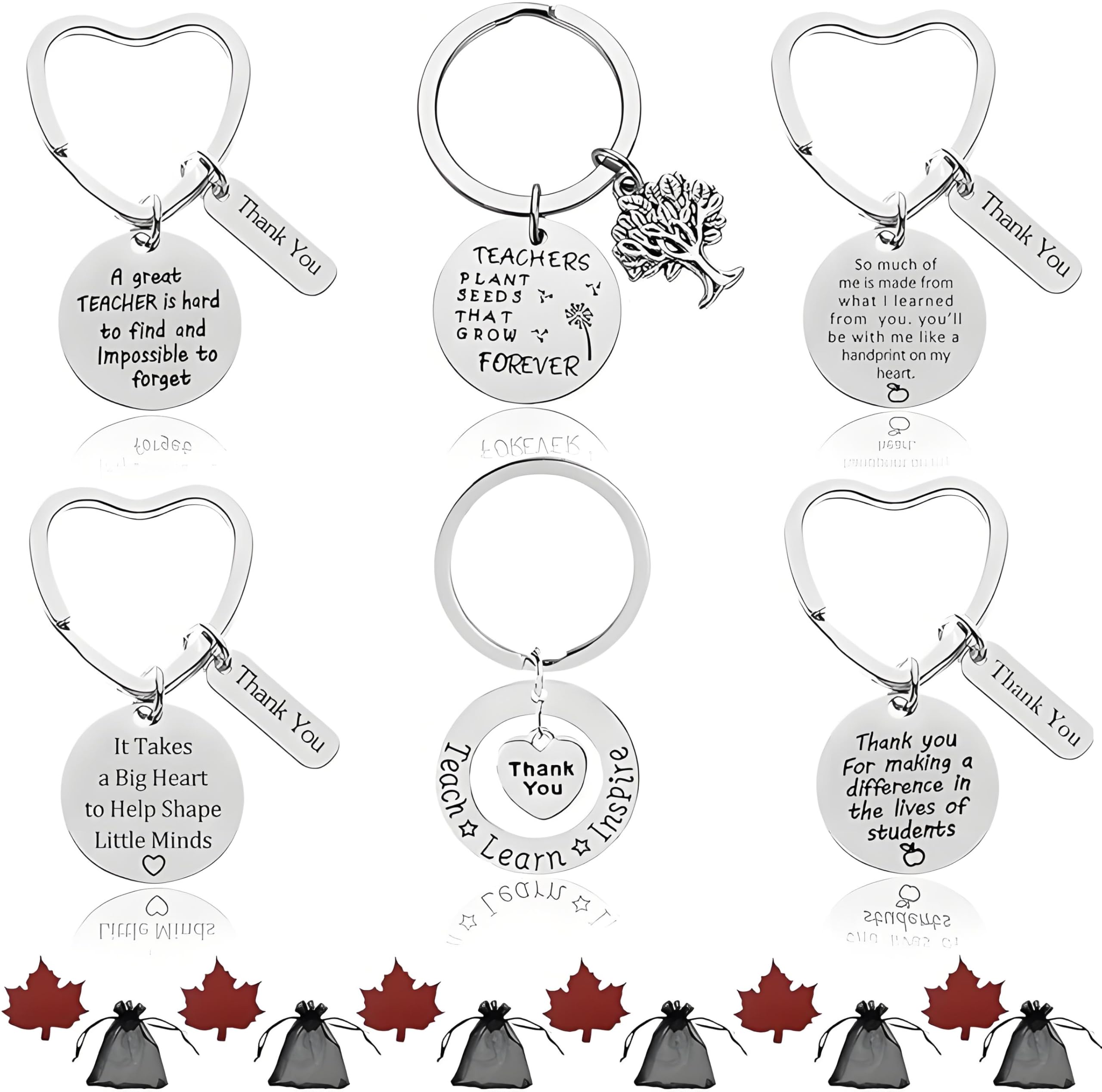 SwirlColor Teacher Keyrings Gifts, 6pcs Keychains Thank You Teacher Key ring Different Meaningful Stainless Steel Keyring for Men & Women Teacher Instructor Professor Coach