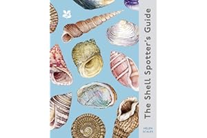 The Shell Spotter’s Guide: Every shell has a story to tell. Discover the secrets of these treasures of the sea