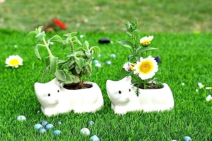 Lyallpur Stores Ceramic Planter Cat Shape - Small (White Color, 7 cm) Plant Not Included