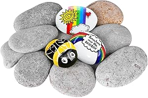 DOJOBKINB River Rocks for Painting 12 Pcs Large 2-3 Inch Flat Smooth Painting Stones Craft Rock to Paint for Kids Crafts Painting Bulk