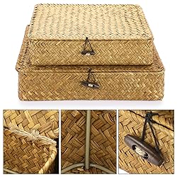 Hipiwe Set of 2 Flat Woven Wicker Storage Bins with