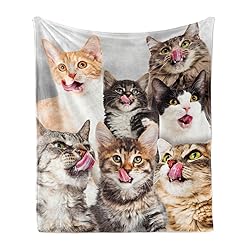 Ambesonne Kittens Throw Blanket, Licking Cats with