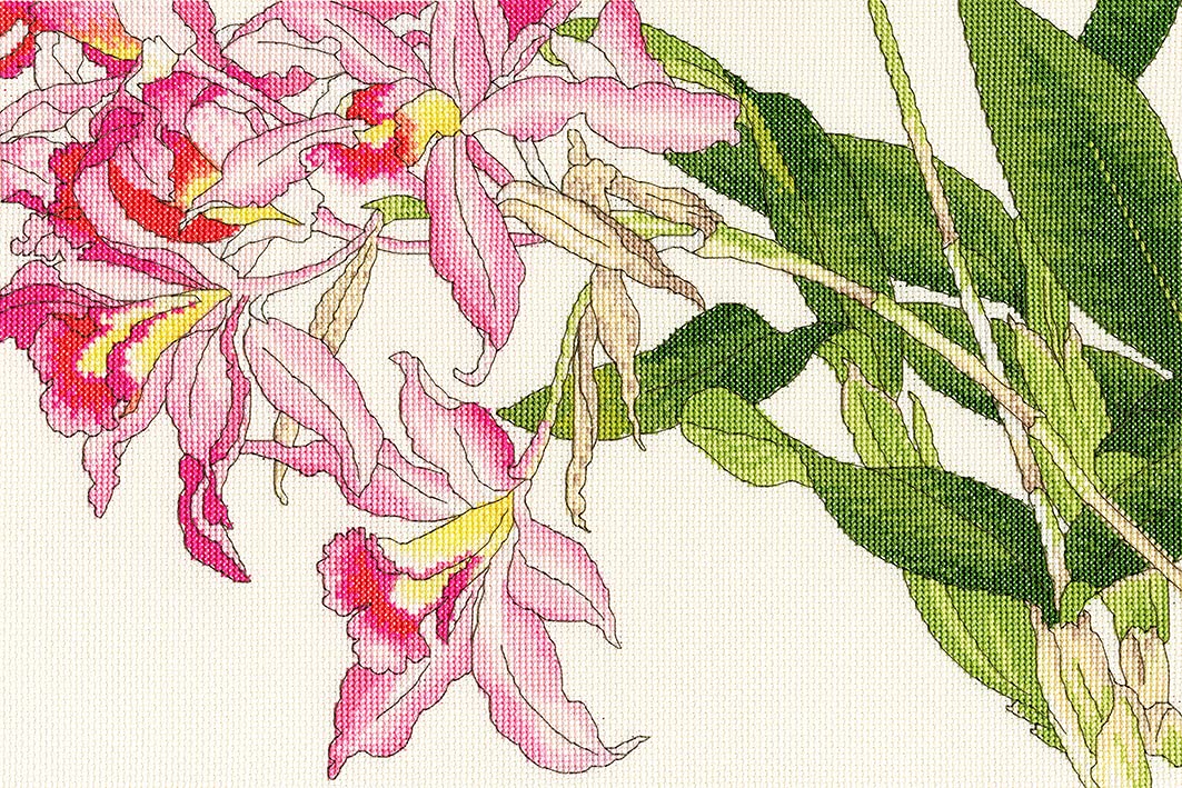 Bothy Threads Counted Cross Stitch Kit - Orchid Blossom - XBD16-36x24cm