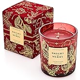 M&SENSE Holiday Scented Candle Gift for Women and Men - Cinnamon Scent, 10 oz Soy Wax, Birthday,Holiday,Christmas,New Year Gift
