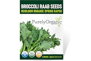 PURELY ORGANIC PRODUCTS LLC Organic Broccoli Raab Seeds (Spring Rapini) - Approx 750 Seeds - USDA Organic, Non-GMO, Open Pollinated, Heirloom, USA Origin