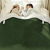 VELLUBAM Heated Blanket Queen 84" x 90" - Flannel Sherpa Electric Blanket Queen Size with Dual Control, 5 Heating Levels & 10 Hours Auto Off, Heating Blanket with Overheat Protection for Home (Green)