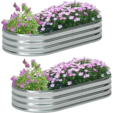 succulent potted plant Large Succulent Circle Planter