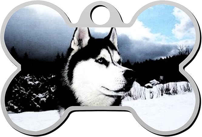 canadian pet tags