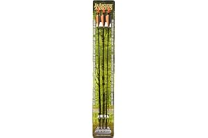 Barnett 28" Junior Archery Arrows, Strong Fiberglass Shafts with Standard Nock for Use With Youth Bows, 3-Pack