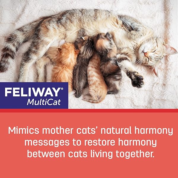 FELIWAY MULTICAT 30 DAY CAT CALMING PLUG IN PHEROMONE DIFFUSER STARTER KIT, 48ML – HELPS REDUCE CONFLICTS AND SIGNS OF TENSION IN MULTI-CAT HOUSEHOLDS