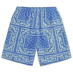 DIOTSR Mens Paisley Casual Shorts Retro Graphic