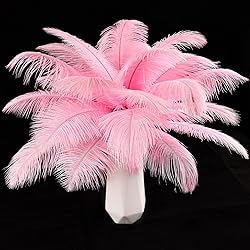 THARAHT Pink Ostrich Feathers 24pcs Natural Bulk