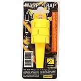 Trap CompanyWasp Trap (Pack of 3)