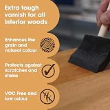 Furniture Clinic Wood Varnish 250ml Gloss Clear Fast Dry Low Odour Water-Based view 2
