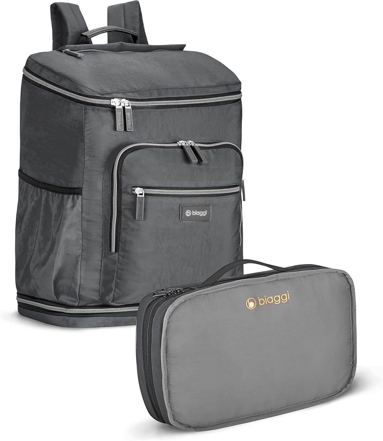 biaggi luggage in stores