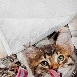 Ambesonne Kittens Throw Blanket, Licking Cats with