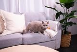 Sanicat Classic Unscented 10 L Cat Litter view 6