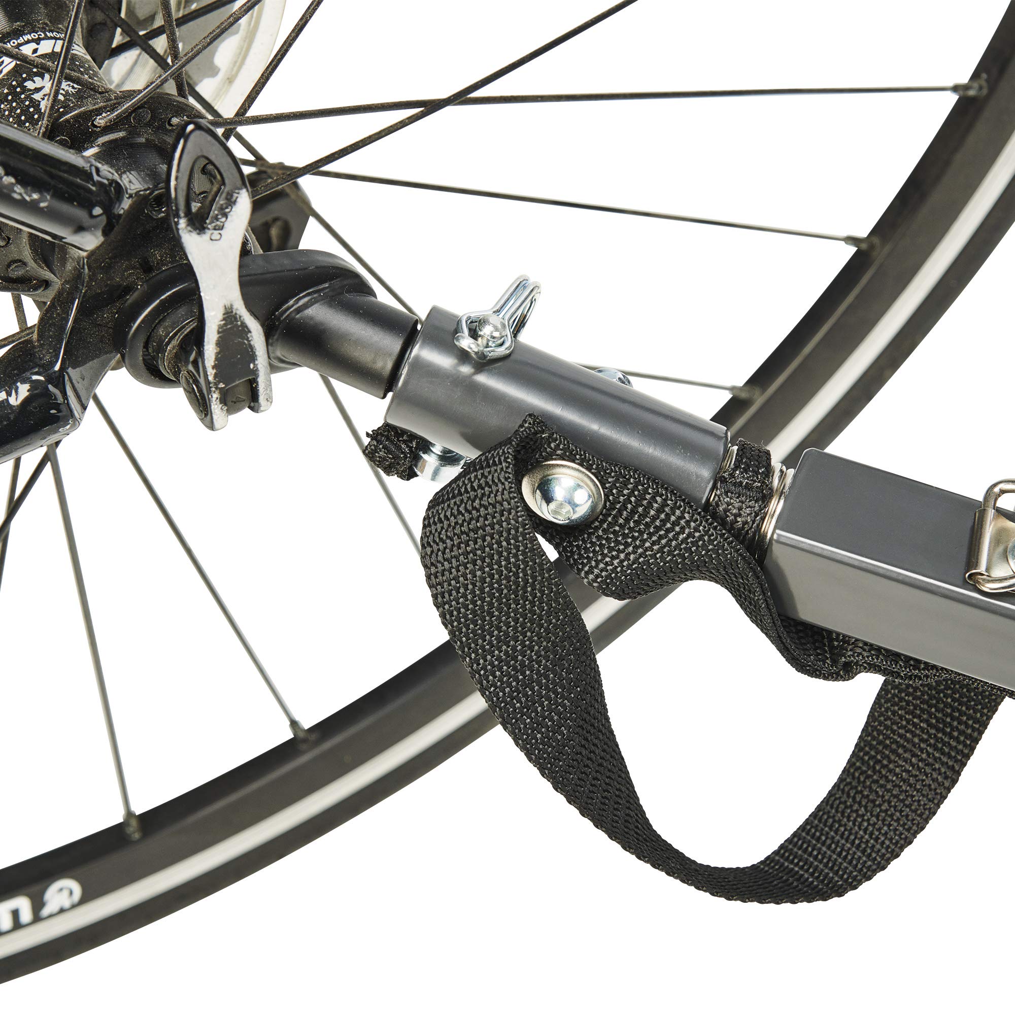 allen sports bike trailer stroller