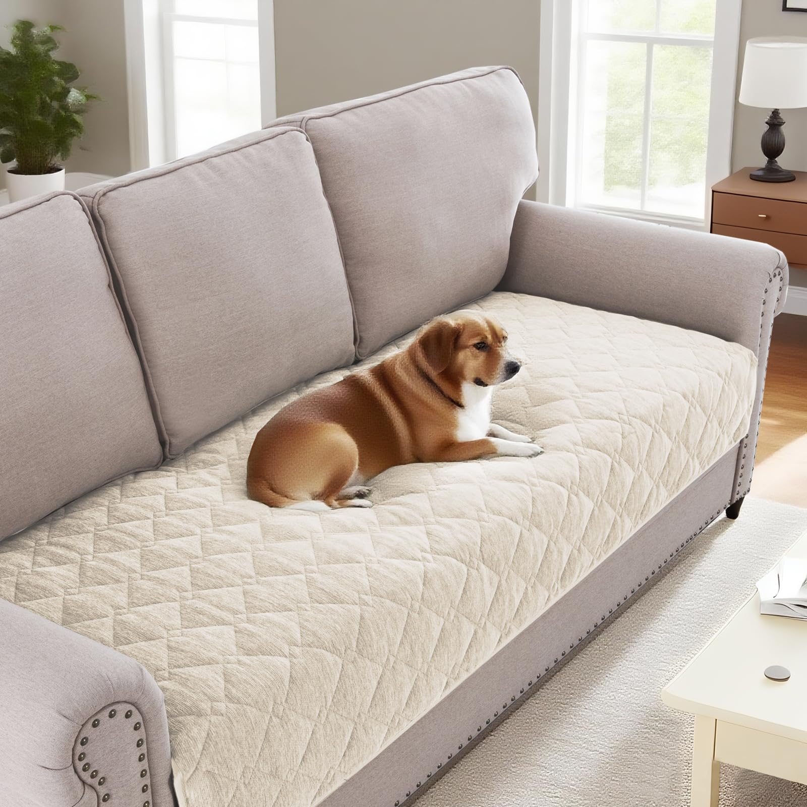 Photo 1 of H.VERSAILTEX Couch Cover Chenille Pet Fuzzy Sofa Covers for 3 Cushion Couch Anti Slip Washable Sofa Slipcovers with Strap Soft Couch Protector Cover for Dogs Cats Kids(36" x 74", Ivory)