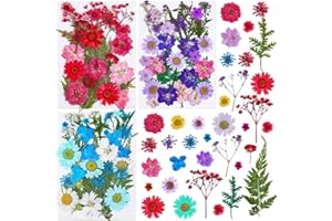 Thrilez 100Pcs Dried Pressed Flowers for Resin Crafts, Small Dried Flower Natural Herbs Pressed for Scrapbooking Greeting Card DIY Bookmark Resin Epoxy Accessories Nails Decor Soap and Candle Making