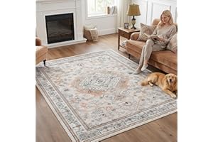HOOBRO Area Rug 5x7, Machine Washable, Carpet Rugs with Non-Slip TPR Rubber Backing, for Living Room, Bedroom, and Hallway, V