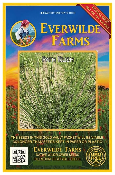 2000 Path Rush Native Grass Seeds Everwilde Farms Mylar Seed Packet Tabbouli Eu