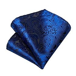 DiBanGu Silk Paisley Ties for Men Woven Necktie and