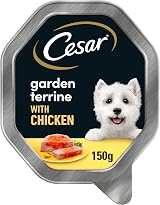 Cesar Garden Terrine Adult Wet Dog Food Chicken with Garden Vegetables 14 x 150g