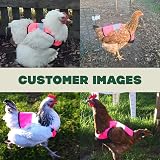 Omlet High-Vis Chicken Jacket Pink Warm Winter Hen Saddle Cold Weather view 9
