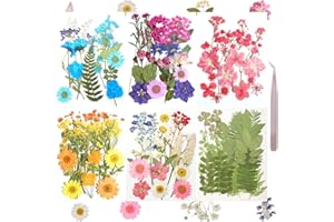 120Pcs Dried Pressed Flowers for Resin Mold Dry Flower Real Leaves Bulk with Tweezers Natural Herbs Kit for Scrapbooking DIY 