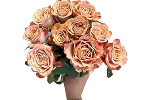 WANGBINYU 10 StemFresh Cappuccino Rose Cut Flowers Florist Selected Premium Mocha Toned Roses Perfect for Bouquets Weddings Home Décor and Gift Giving