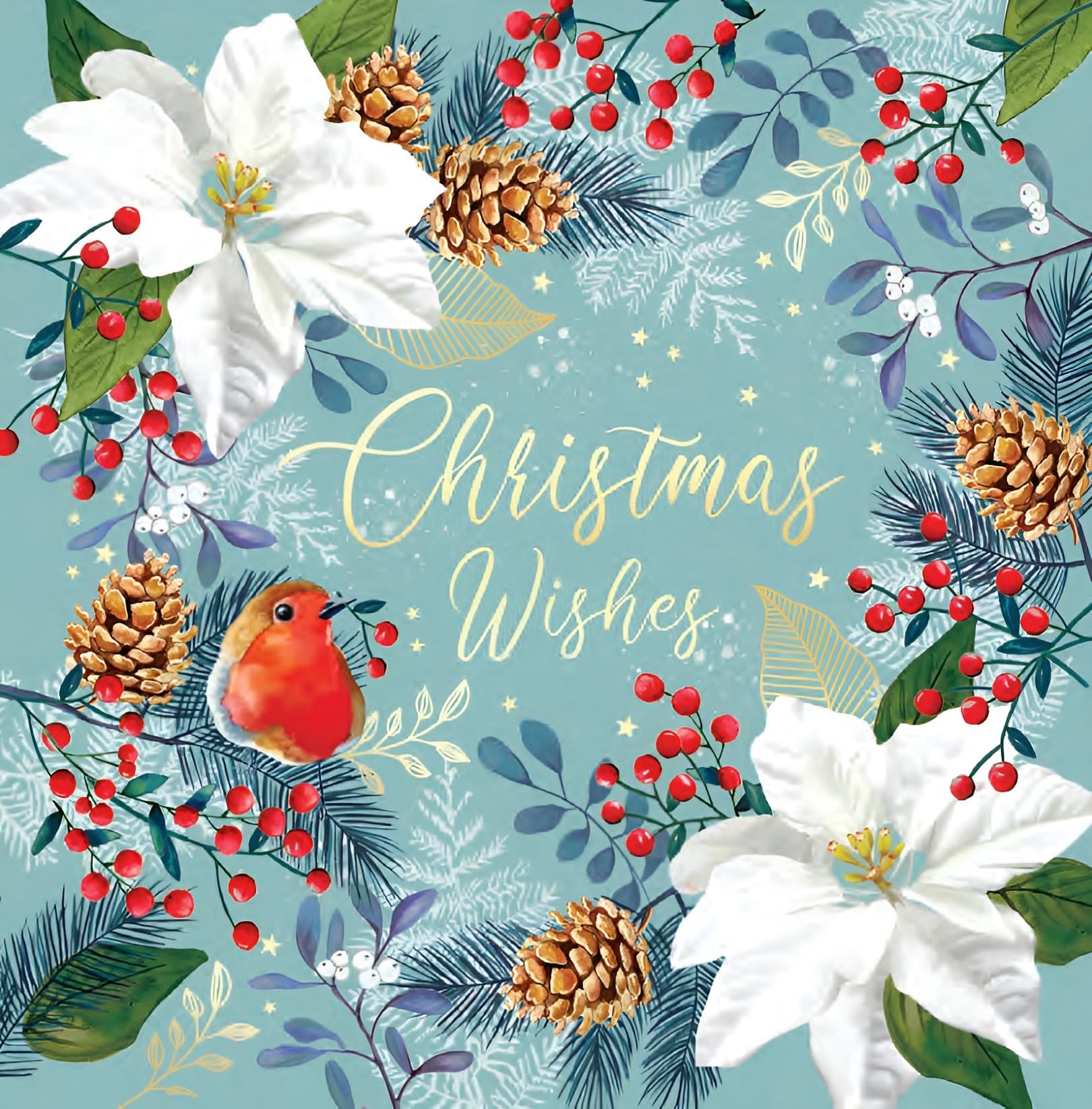 Noel Tatt Charity Christmas Cards Pack of 10 - Assorted Designs - 2 x 5 Robins and Winter Foliage Designs - Festive Christmas Cards Multipack - In Aid of UK Charities