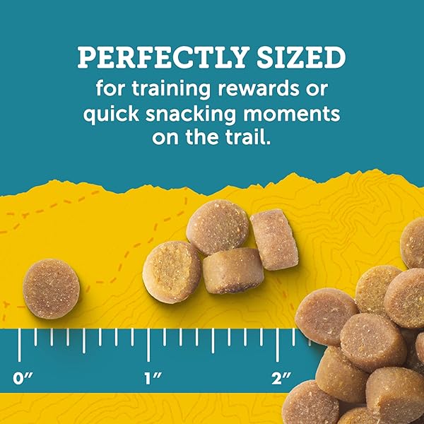 ZUKE’S PUPPY NATURALS DOG TRAINING TREATS, PORK & CHICKPEA RECIPE, NUTRIENT-RICH MINI DOG TREATS FOR TRAINING, GRAIN FREE PUPPY TREATS, 5 OZ BAG (PACK OF 1)