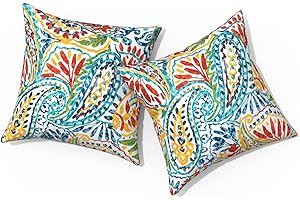 TWLEAR Outdoor Pillows for Patio Furniture 18x18 inch, Square Outdoor Throw Pillows with Inserts, Decorative Toss Pillows for Garden Couch Home Sofa Office Chair, Pack of 2, Paisley Multi