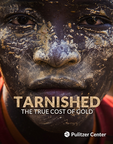Download Tarnished: The True Cost of Gold (English Edition) PDF