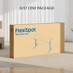 FLEXISPOT Standing Desk Electric Height Adjustable