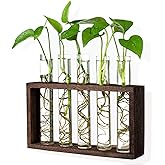 PACDONA 5 Tube Wooden Plant Propagation Station, Tabletop Glass Terrarium Holder for Cuttings Hydroponics, Home Office Desk Decor Gift for Women Mom Plant Lovers, Brown