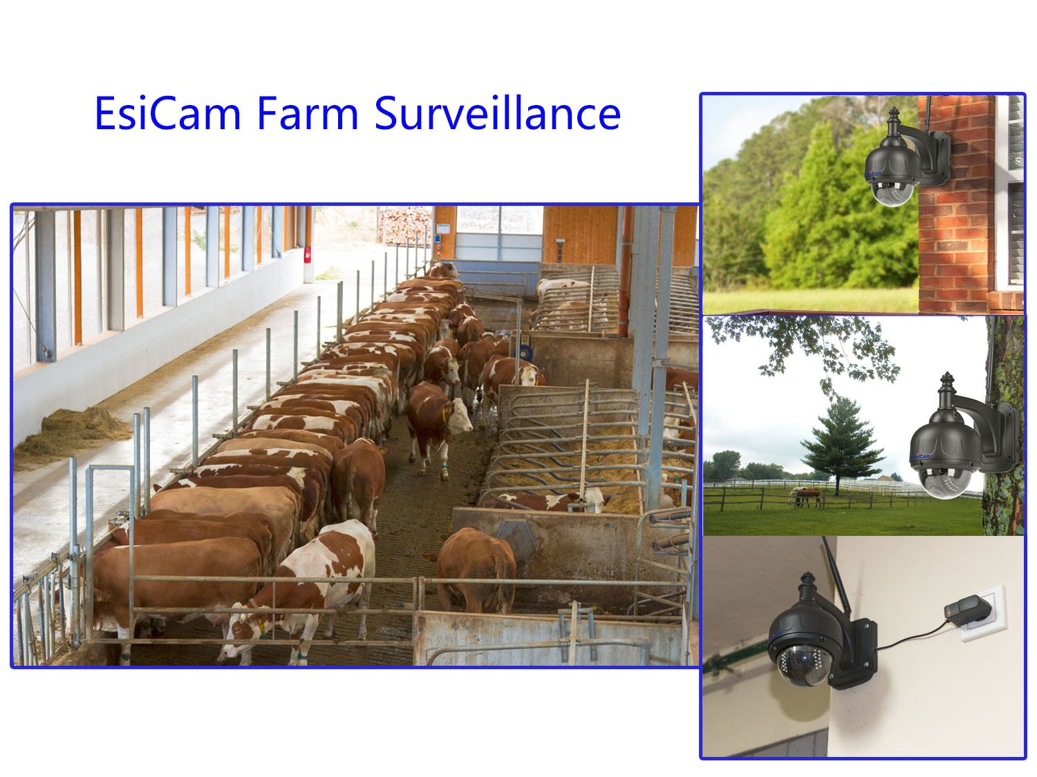 EsiCam OutDoor PTZ Dome Surveillance Camera WiFi 720P 3X Zoom 16G SD Card