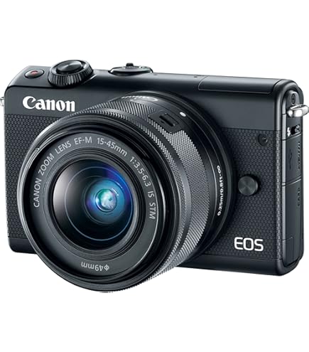 81Y2RbeMM9L._AC_UL495_SR435,