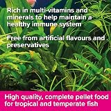 King British Tropical Mini Pellets 55g Multi-Vitamin Complete Fish Food view 3