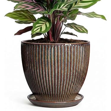 Amazon.com New Releases: The best-selling new & future releases in Planters