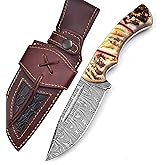 BG Knives Handmade Damascus Knife For Hunting Skinning - 9.5 Inches Damascus Steel Fixed Blade Camping Knife With Leather Sheath, Ram Horn Handle RH-116