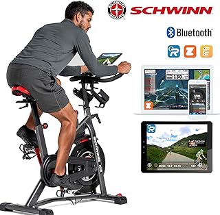 Schwinn IC8 Indoor Cycling Bike (100893)