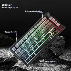 Womier Shine Through PBT Keycaps 60 75 100 Percent