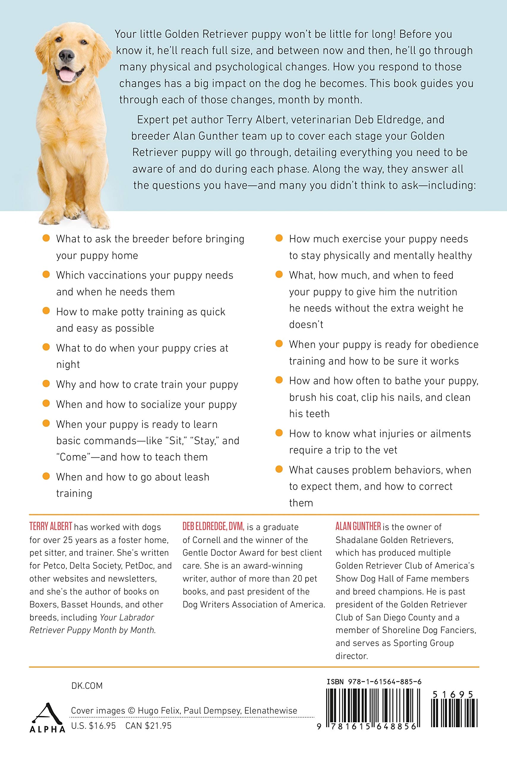 Your Golden Retriever Puppy Month By Month Everything You Need To