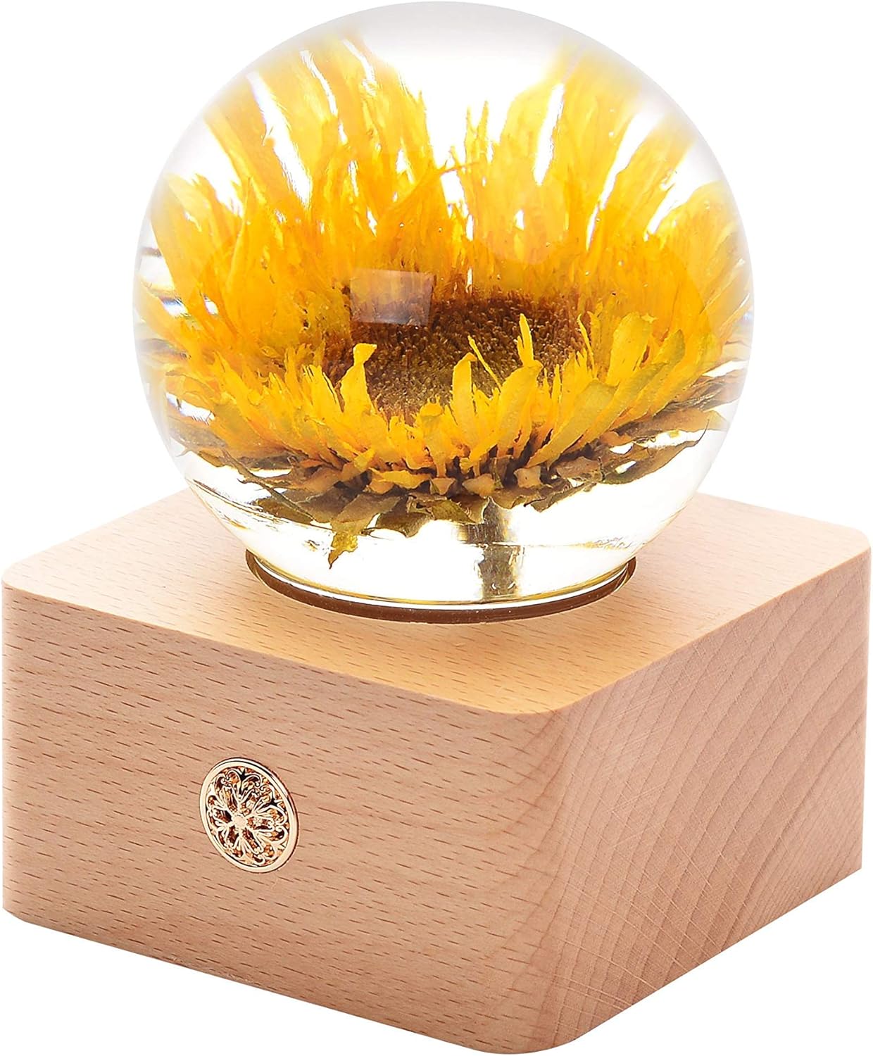 Snow Globes - MISS LI GARDEN Forever Teddy Sunflower Crystal Ball with LED Lights,Best Gifts for Her Wife Girlfriend Women, Anniversary, Mothers Day, Birthday, Valentine's Day Home Décor