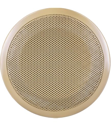 Amazon.com: Front Door Speaker Cover for BMW 3Series E90 320i 318i
